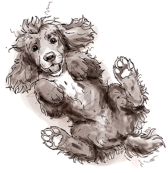 Baxter wriggling with delight